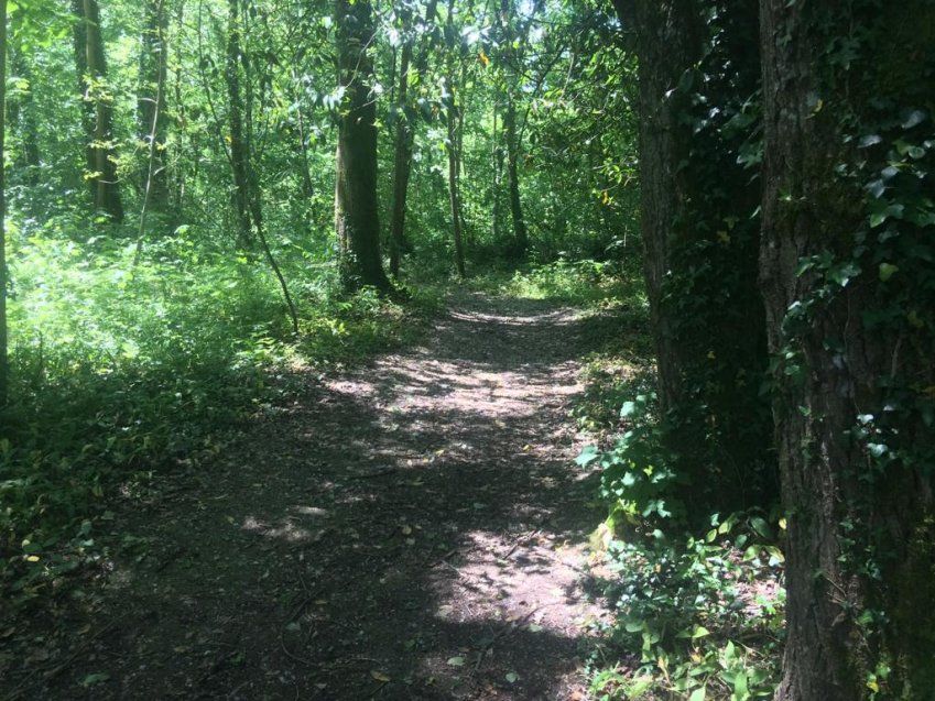 8c61591c f65a 45ae a61d 1bc48ad9ec82