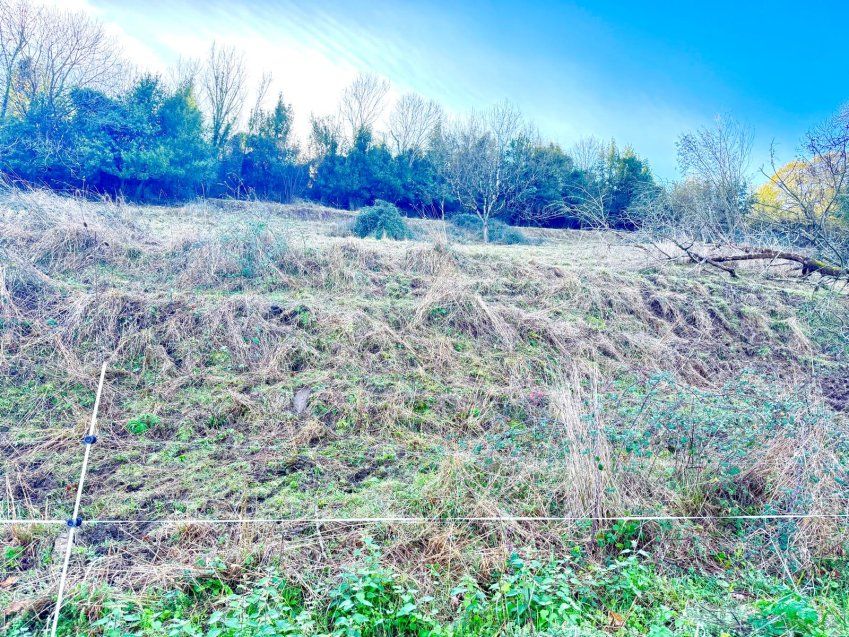 whatsapp image 2025 12 01 at 12 14 06