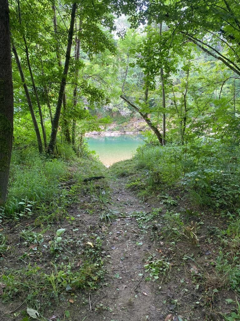 a41b7848 2bf2 4ba9 9582 4b02a886f343