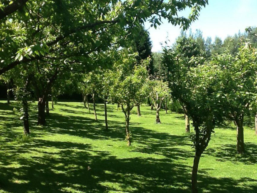 df38ed99 0d5c 4bbc 829d 5d60aec369ad