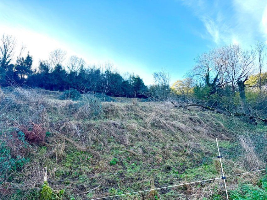 whatsapp image 2025 12 01 at 12 14 06 1