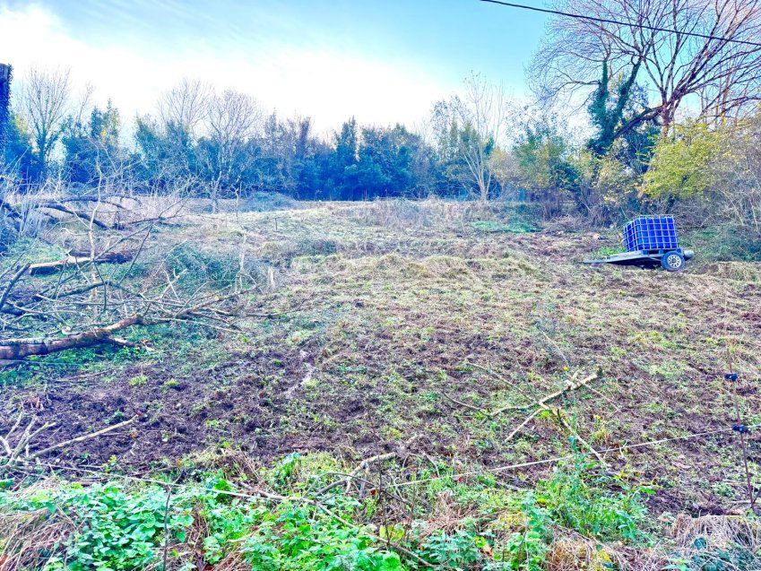 whatsapp image 2025 12 01 at 12 14 06 3