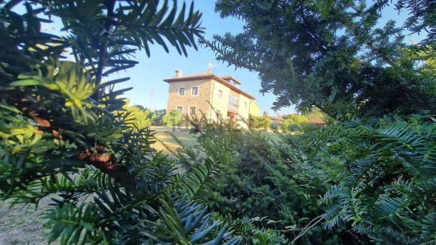 captura de pantalla 2025 06 19 103747