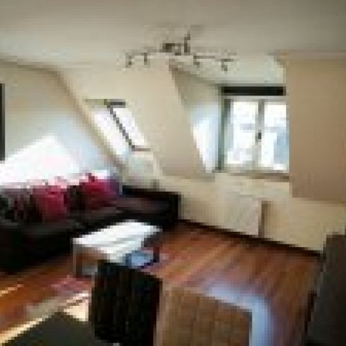 img 20241215 130947