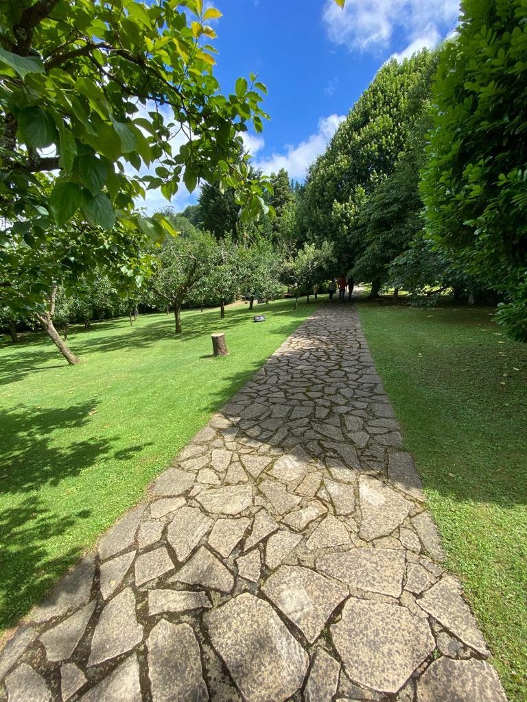 255e911a 160c 4650 9bda 35cf17815c7f