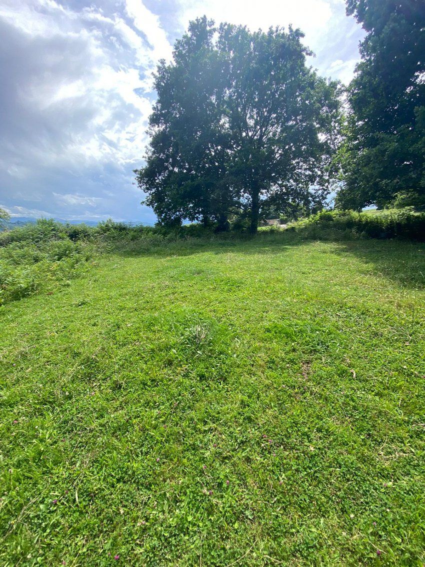 f9e43ee2 7dee 4f40 8c5f aaf501c04004