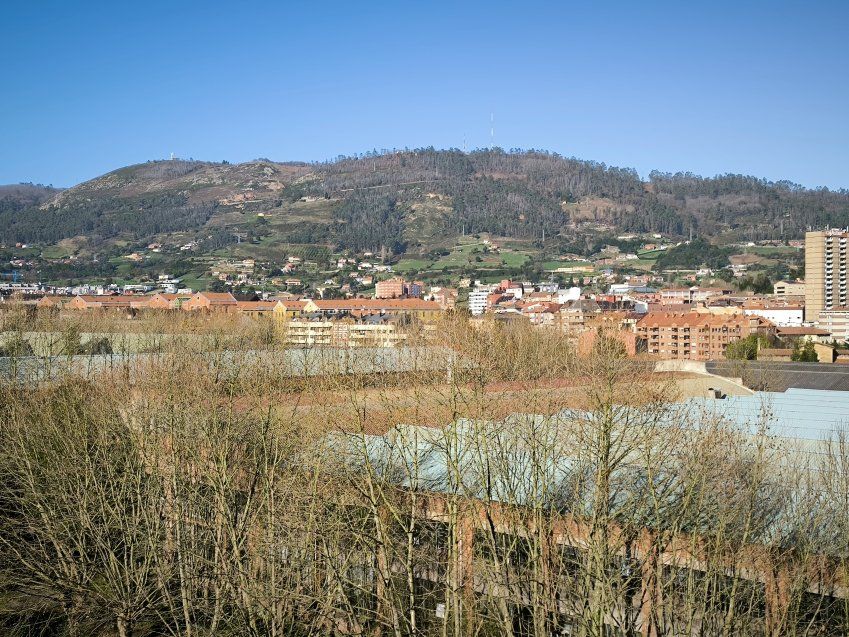 img 20241215 131854