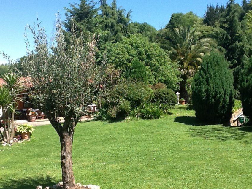 cd14a217 5e69 4384 913c db4541d94cb9