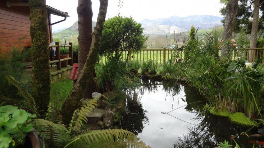 c68c3ab4 3620 49ae b5bd 90258bf46170