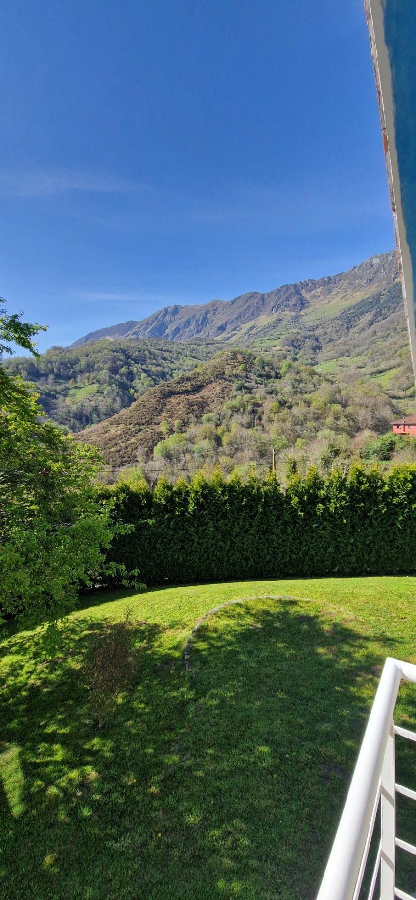 16c48684 8615 4035 b5bc 1c8f190c1349