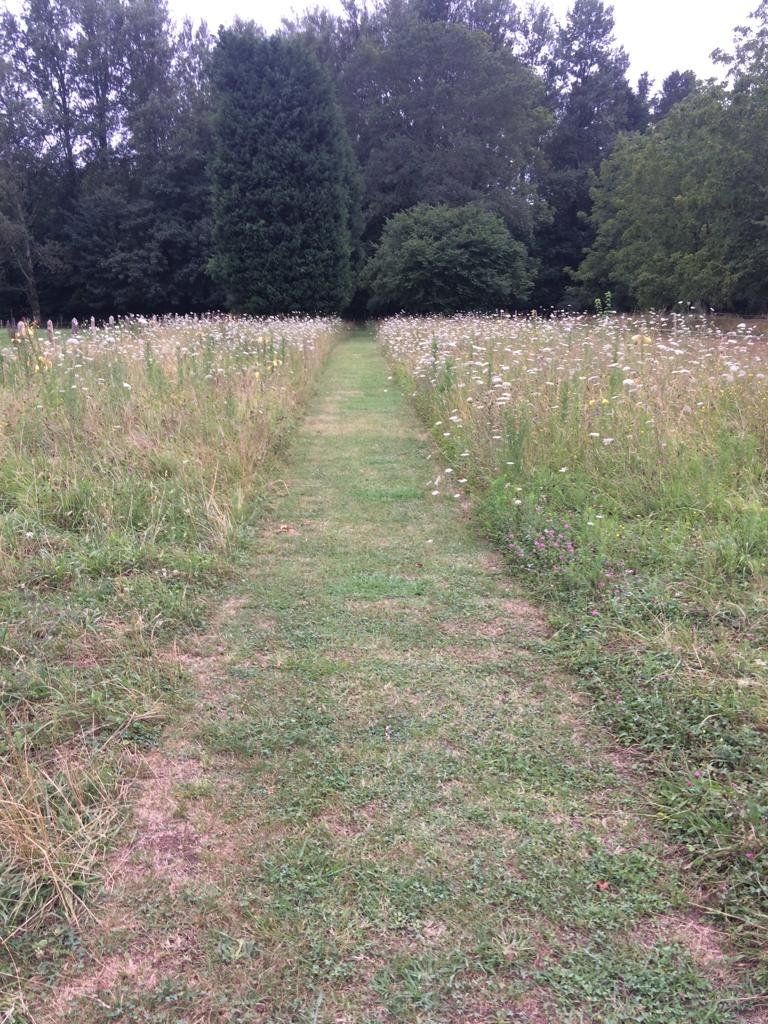 2f0d2c49 3309 497b 9a1f 3ef1bac4140f