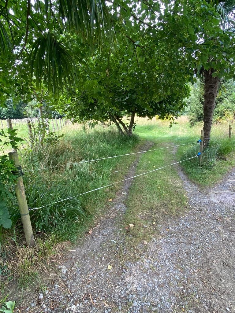 03035837 eafa 48fe 8e46 1c354b4caa58