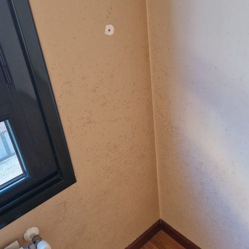 00b70e93 c088 45e8 beb0 63f483891f5b